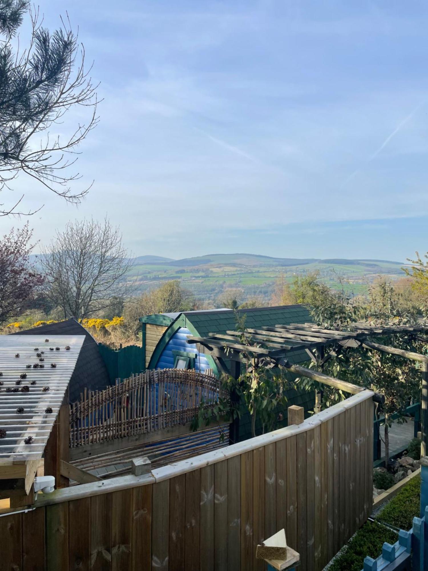 Glamping In The 2Nd Field Hotel Aughrim Kültér fotó